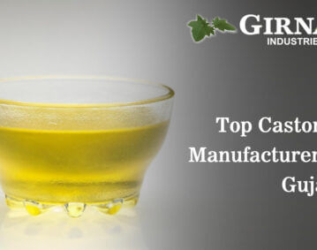Castor Oil Manufacturers in Gujarat