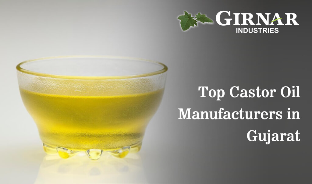 Castor Oil Manufacturers in Gujarat