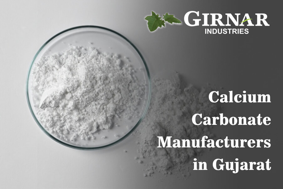 Calcium Carbonate Manufacturers in Gujarat