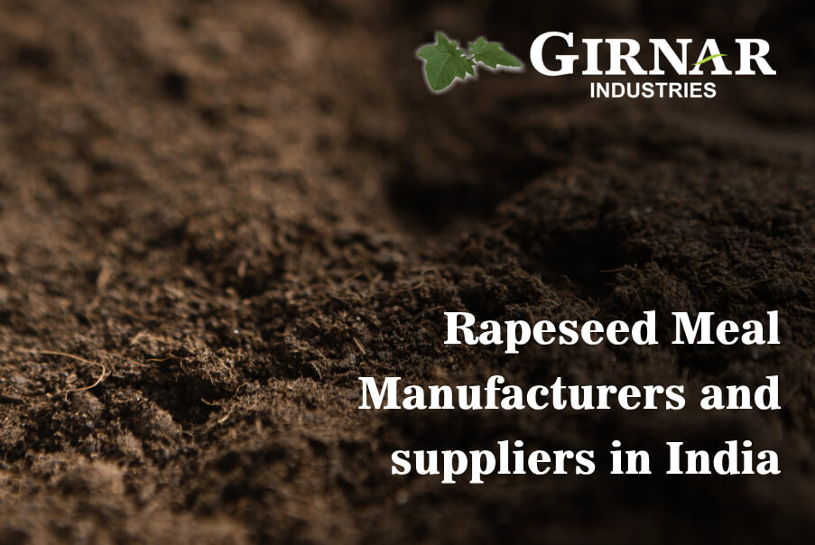 Rapeseed Meal Manufacturers and suppliers in India